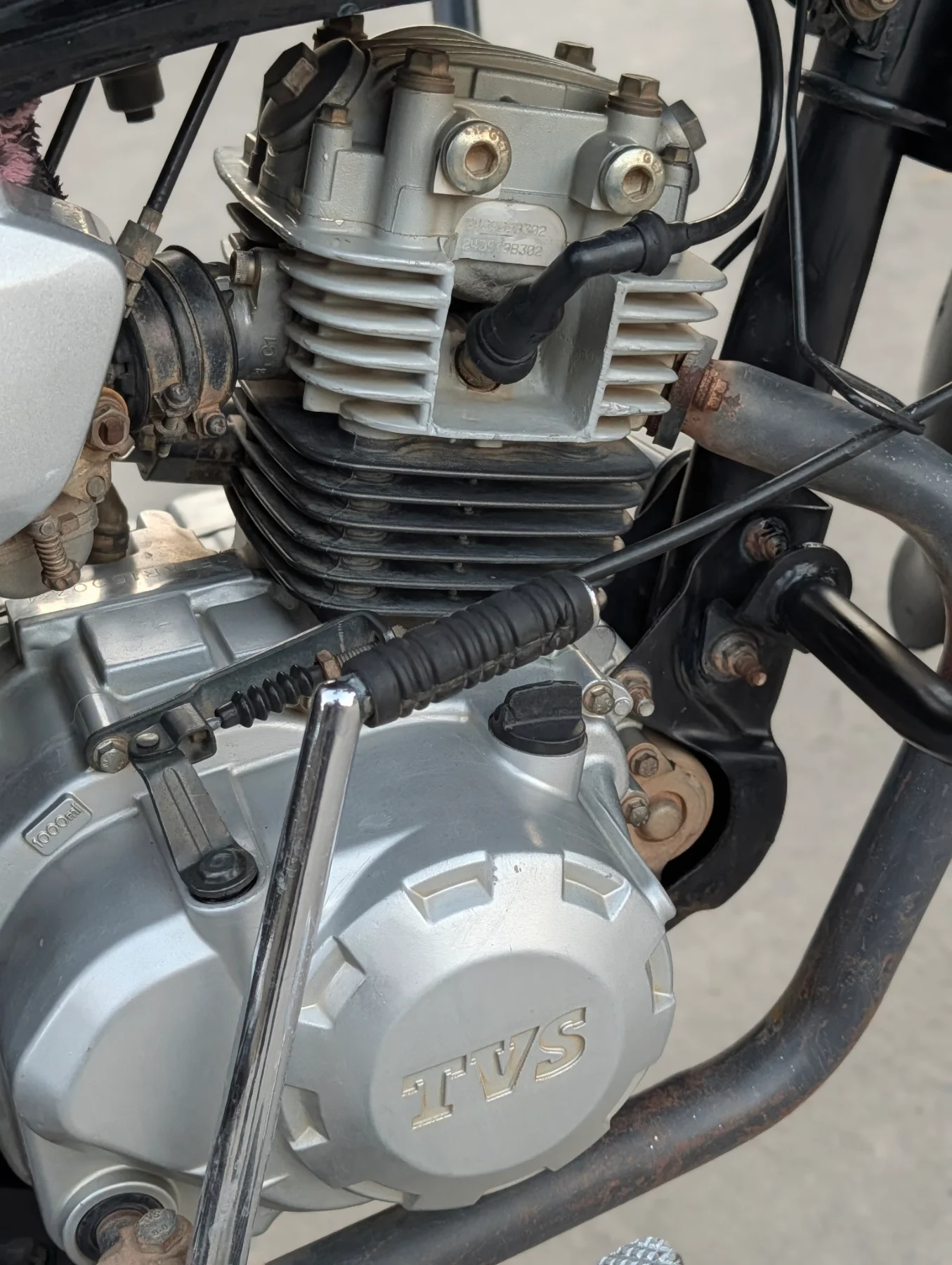 TVS — photo 3